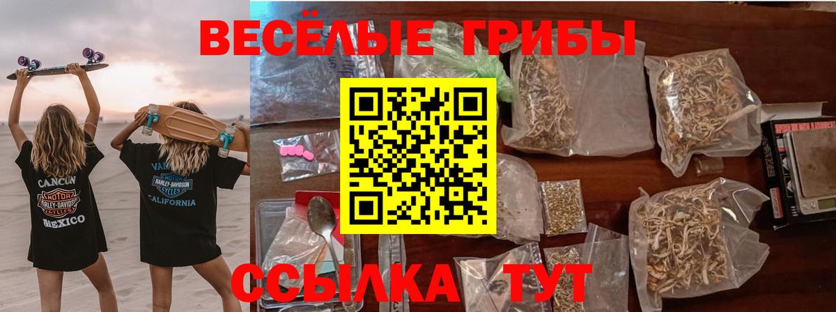 Псилоцибиновые грибы прущие грибы Луховицы
