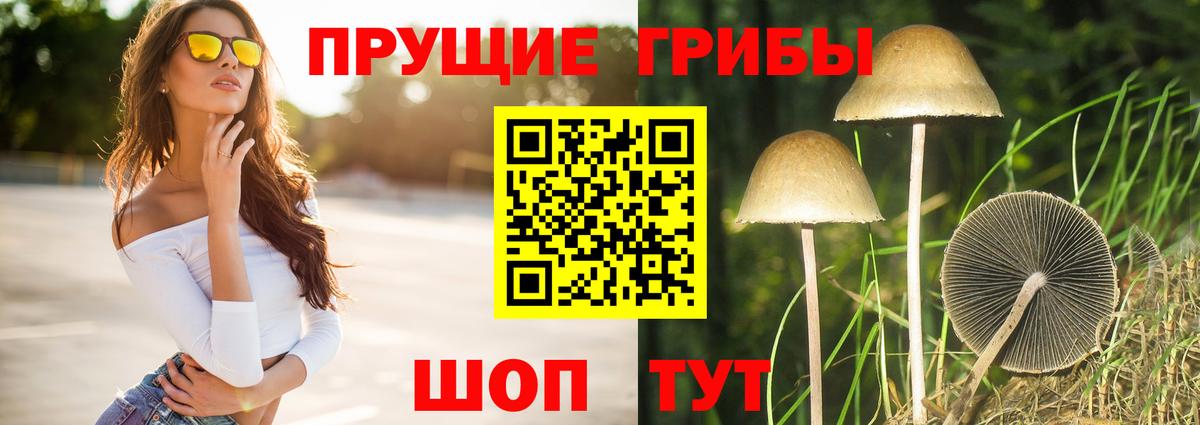 Галлюциногенные грибы мухоморы  Псилоцибиновые грибы MAGIC MUSHROOMS  Вход с VPN  Луховицы 